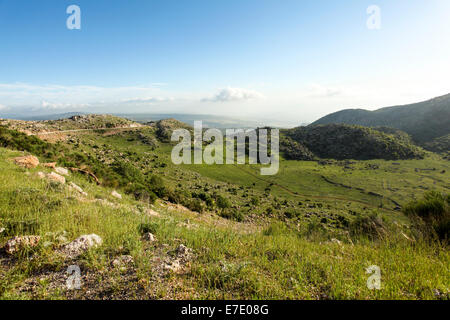 Wildblumen blühen auf den Golanhöhen, Israel im Frühjahr Mai fotografiert Stockfoto