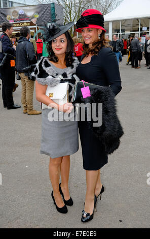 Das Cheltenham Festival in Cheltenham Racecourse - Tag 2 wo: Cheltenham, Vereinigtes Königreich: 12. März 2014 Stockfoto