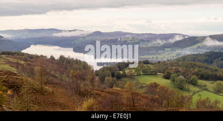 Suche über die Coniston Water im Norden, in der Nähe von Tarn Hows im Herbst. Stockfoto