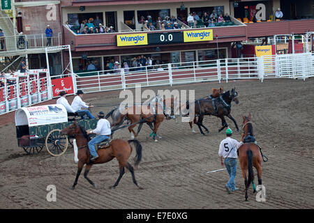 Calgary Stampede, Calgary, Alberta, Kanada. Stockfoto