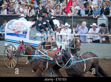 Calgary Stampede, Calgary, Alberta, Kanada. Stockfoto