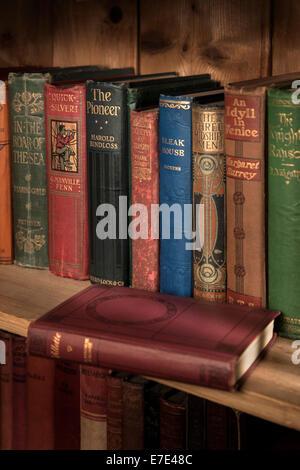 Vintage Hardcover Bücher auf einem hölzernen Regal. Stockfoto