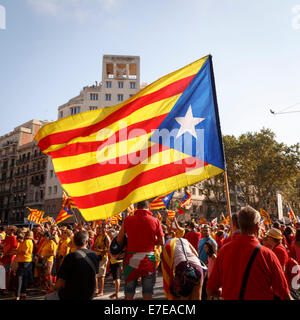 Barcelona, Spanien - 11. September 2014: Menschen fordern Unabhängigkeit Kataloniens auf der 300. katalanischen Nationalfeiertag in den Straßen von Stockfoto