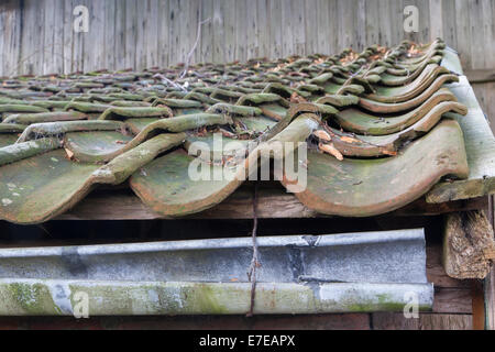 altes Dach in Süderbrarup, Schleswig-Flensburg Bezirk, Schleswig Holstein, Deutschland Stockfoto