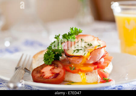 Frühstück mit Eiern gebacken in Schinken mit Tomaten und Kräutern serviert Stockfoto