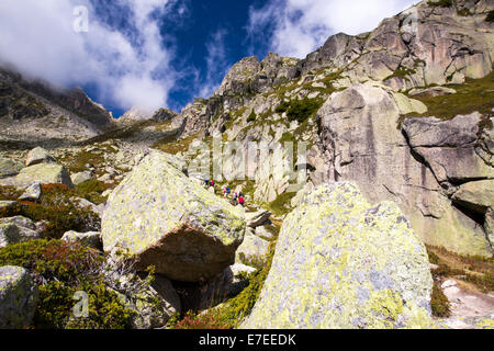 Flechten bedeckt Granitfelsen in der Val D' Arpette in den Schweizer Alpen. Stockfoto