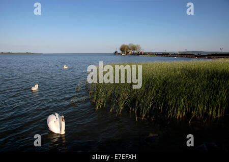 Pier in Keszthely am Nordufer des Plattensee, Ungarn Stockfoto