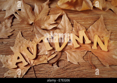 Holzbuchstaben bilden das Wort Herbst und einige Blätter im Herbst auf einem verwitterten hölzernen Hintergrund Stockfoto