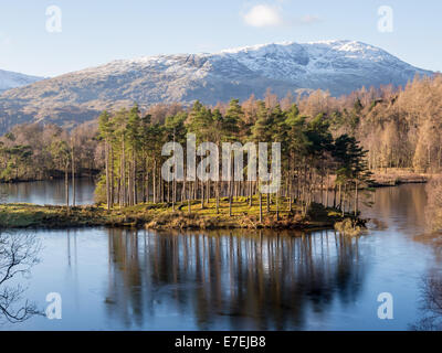 Tarn Hows mit Eis an der Spitze, mit Bergen mit Schnee Kappen in mitten im Winter. Im Lake District, England. Stockfoto