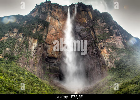 Salto Angel im Nationalpark Canaima Stockfoto