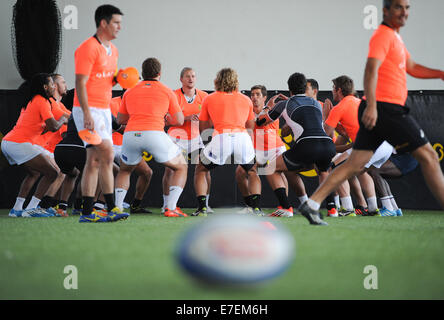 Stellenbosch, Südafrika. 15. Sep, 2014. Squad-Mitgliedern Warm-up Übungen während der Springbok Sevens Medientag im Stellenbosch Akademie des Sports. Springbok-Sevens bereiten sich für die kommende IRB HSBC Siebener-Serie, die in Gold Coast, Australien, nächsten Monat startet. Die Mannschaft wollen Top 4 am Ende der Serie, die qualifizieren sie für die Olympischen Spiele 2016 in Rio zu beenden.  Bildnachweis: Roger Sedres/Alamy Live-Nachrichten Stockfoto