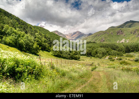 Landschaft in Kasbegi Stockfoto