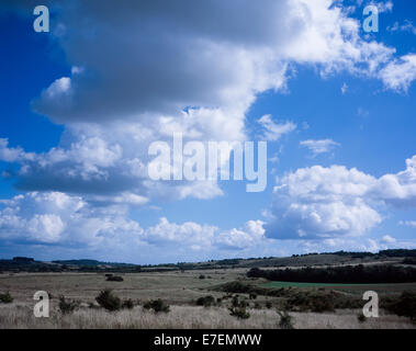 Ein Blick über Martin Down Teil ein National Nature Reserve The Dorset Downs in der Nähe von Cranborne England Stockfoto