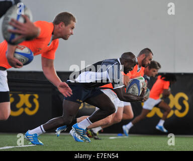 Stellenbosch, Südafrika. 15. Sep, 2014. Sandile Ngcobo tagsüber Springbok Sevens Medien an der Akademie des Sports in Stellenbosch. Springbok-Sevens bereiten sich für die kommende IRB HSBC Siebener-Serie, die in Gold Coast, Australien, nächsten Monat startet. Die Mannschaft wollen Top 4 am Ende der Serie, die qualifizieren sie für die Olympischen Spiele 2016 in Rio zu beenden.  Bildnachweis: Roger Sedres/Alamy Live-Nachrichten Stockfoto