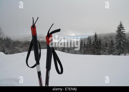 Ski Stöcke Ion einem Hügel hinter Skaugum, Norwegen Stockfoto