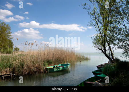 Kleine Boote in der Nähe von Szigliget, Plattensee, Ungarn Stockfoto