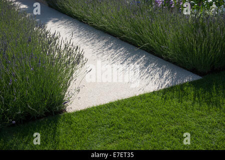 Lavendel Garten UK - Lavendel Grenze Grenzen und Stein gepflasterten Weg entlang des Gartens mit Rasen am Rand Stockfoto