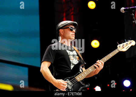 Der Bassist von Lukas Nelson und der Band "Das Versprechen des realen" setzen auf eine hohe Energieeffizienz auf der Farm Aid 2014 Stockfoto