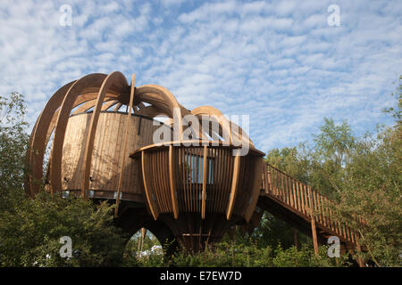 Ein Holz aus Holz nachhaltig modernes Gartenbüro, das von zu Hause aus in einem Waldgarten für Wildtiere arbeitet. Großbritannien - Stockfoto