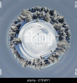 Planet der schönen Tannen bedeckt mit Schnee in den Bergen des Jura an einem Wintertag in der Schweiz. Stockfoto