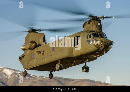 Ein Nevada National Guard CH-47 Chinook-Hubschrauber startet von Reno, Nevada. Stockfoto