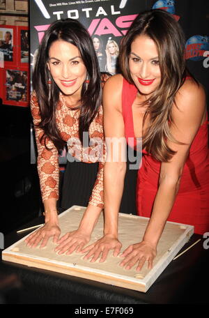 WWE Wrestler und Realität Sterne von E! Serie "Total Divas" bei einem Handabdrücke Zeremonie im Planet Hollywood Hall Of Fame Featuring: Brie Bella, Nikki Bella Where: New York City, New York, USA bei: 13. März 2014 Stockfoto