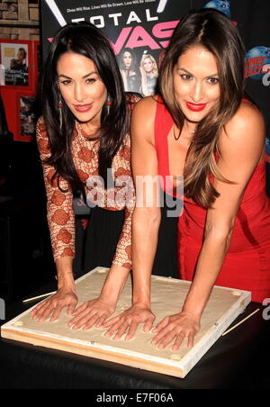 WWE Wrestler und Realität Sterne von E! Serie "Total Divas" bei einem Handabdrücke Zeremonie im Planet Hollywood Hall Of Fame Featuring: Brie Bella, Nikki Bella Where: New York City, New York, USA bei: 13. März 2014 Stockfoto