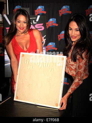 WWE Wrestler und Realität Sterne von E! Serie "Total Divas" bei einem Handabdrücke Zeremonie im Planet Hollywood Hall Of Fame Featuring: Nikki Bella, Brie Bella wo: New York City, New York, USA bei: 13. März 2014 Stockfoto