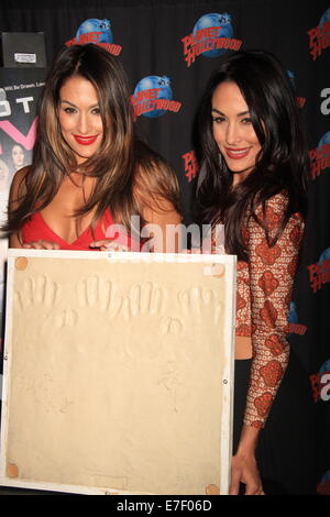 WWE Wrestler und Realität Sterne von E! Serie "Total Divas" bei einem Handabdrücke Zeremonie im Planet Hollywood Hall Of Fame Featuring: Nikki Bella, Brie Bella wo: New York City, New York, USA bei: 13. März 2014 Stockfoto