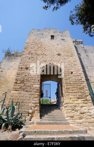 Eingang, Château de Beaucaire, Beaucaire, Département Gard, Languedoc-Roussillon, Südfrankreich, Frankreich Stockfoto