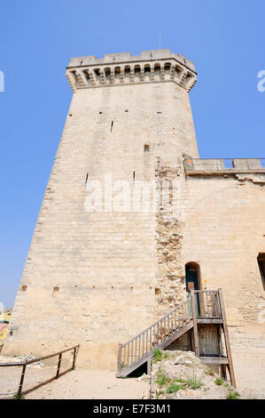 Château de Beaucaire, Beaucaire, Département Gard, Languedoc-Roussillon, Südfrankreich, Frankreich Stockfoto
