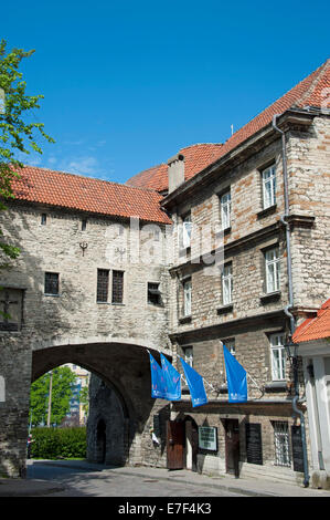 Estnische Seefahrtsmuseum und große Küsten Tor der Stadt Wände, Tallinn, Estland, Baltikum Stockfoto