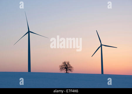 Wind-Turbinen und einzelne Linde (Tilia spp.) in der Dämmerung im Winter, Thüringen, Deutschland Stockfoto