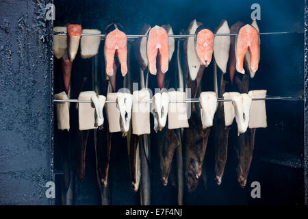 Fisch in der Raucher, Prerow, Darß, Mecklenburg-Western Pomerania, Deutschland Stockfoto