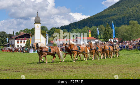 Zehn-Pferdekutsche mit Haflinger Pferde aus Leitzachtal Tal vor Leonhardi-Kapelle, erstes internationale zehn-Pferd Stockfoto