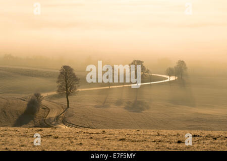 Am frühen Morgen in Witthoh Ridge, Hegau, Baden-Württemberg, Deutschland Stockfoto