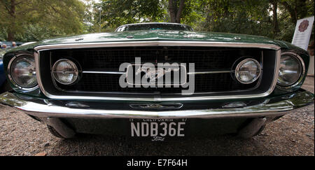 1966 Ford Mustang 289 GT Auto Stockfoto