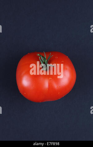 Tomaten auf einem schwarzen Hintergrund. Stockfoto