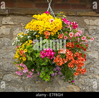 Hängenden Korb mit Masse von bunten Blumen, Efeu, Geranien, Calibrachoas, Petunien, grünes Laub, gegen Steinmauer