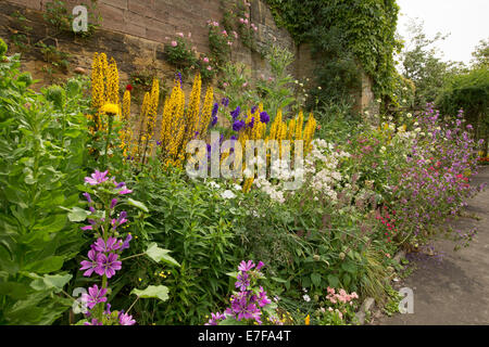 Bunter Frühling Display groß Blumen und Laub in krautigen Grenze neben Steinmauer im Bad Garten, Bakewell, England Stockfoto