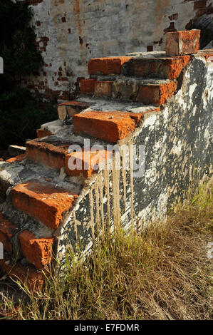 Durban, Südafrika, Nahaufnahme, Detail, ausgesetzt rote Ziegelsteine, Broken Wall, verfallene Gebäude, wachsendes Gras, verlassen Stockfoto