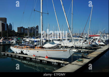 Landschaft, Stadtbild, Yachten, Segelboote, Anlegesteg, Kleiner Yachthafen, Hafen von Durban, Landschaft, Stadt Stockfoto