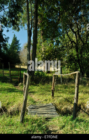 Hogsback, östliches Kap, Südafrika, rustikalen hölzernen Brücke über Stream auf der Farm Stockfoto