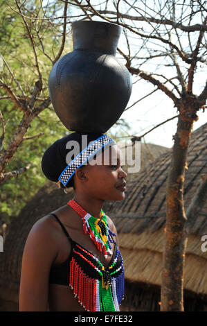 Menschen, junge Erwachsene Frau, ethnisch, KwaZulu-Natal, Südafrika, Zulu Maid, traditionelle Kleidung, balancierende Tonbiertopf, Themendorf, Shakaland Stockfoto