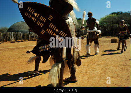 Menschen, Kultur, Erwachsene Zulu Männer, traditionelle zeremonielle Kleidung, Schilde zu Fuß mit Mädchen, Themendorf, Shakaland, KwaZulu-Natal, Südafrika Stockfoto