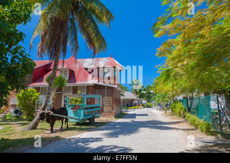 Einzigartige Straßenbild von den Seychellen Stockfoto