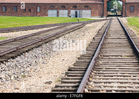 Schienen zum Eingangstor in das Konzentrationslager Auschwitz-Birkenau, Auschwitz, Polen Stockfoto