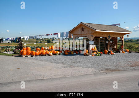 Kürbisse und Kalebassen zum Verkauf am Straßenrand in Lancaster County PA. Stockfoto