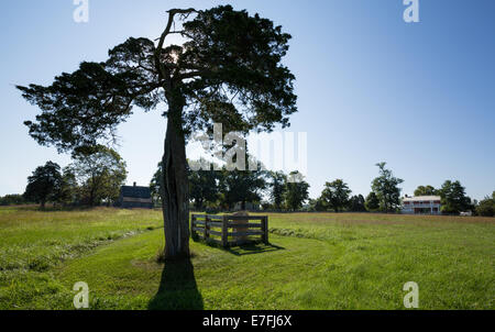 Grab von Lafayette Meeks mit McLean Haus rechts am Appomattox Ort der Kapitulation der südlichen Armee im Bürgerkrieg April 9, 1 Stockfoto