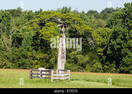 Grab von Lafayette Meeks am Appomattox Ort der Kapitulation der südlichen Armee unter General Robert E Lee, Ulysses S Grant Apri Stockfoto